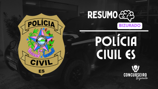 COMBO PC ES  - RESUMOS BIZURADOS