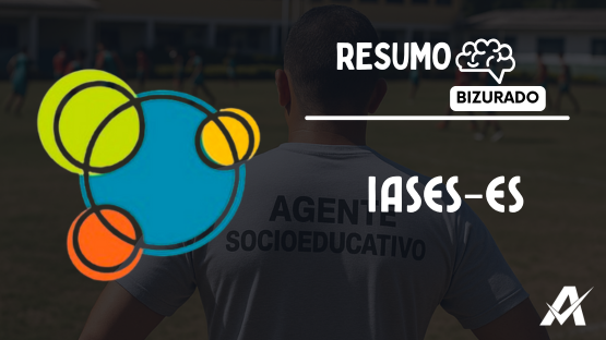 AGENTE SOCIOEDUCATIVO - IASES  - RESUMO BIZURADO