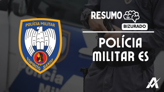 PMES  - RESUMO BIZURADO